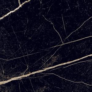 Marquina Shiny